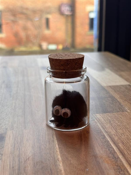 Bug in a jar
