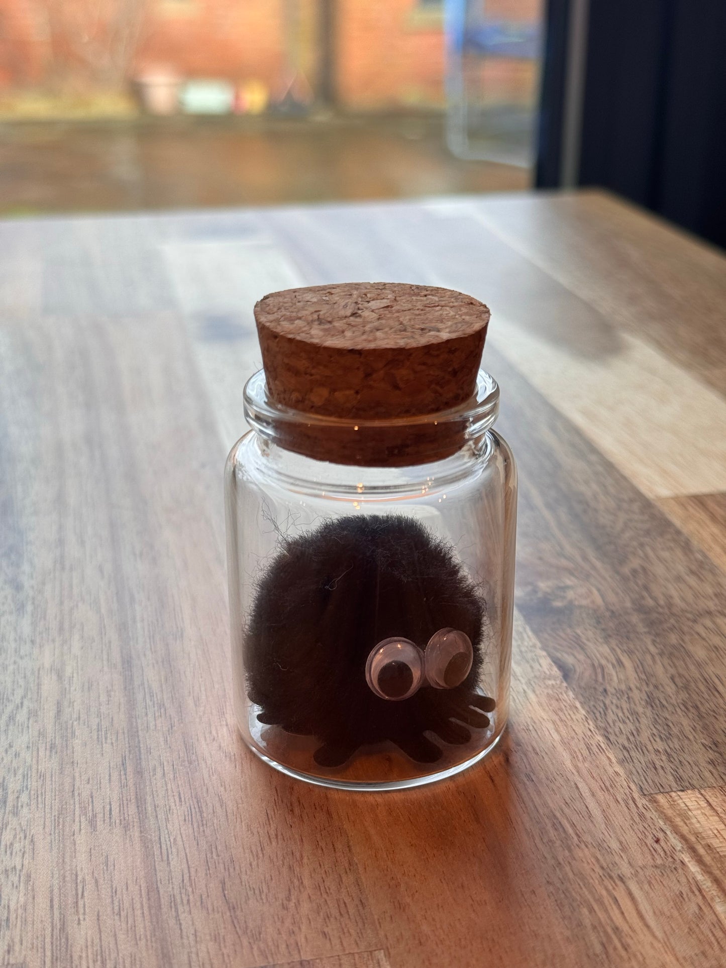 Bug in a jar