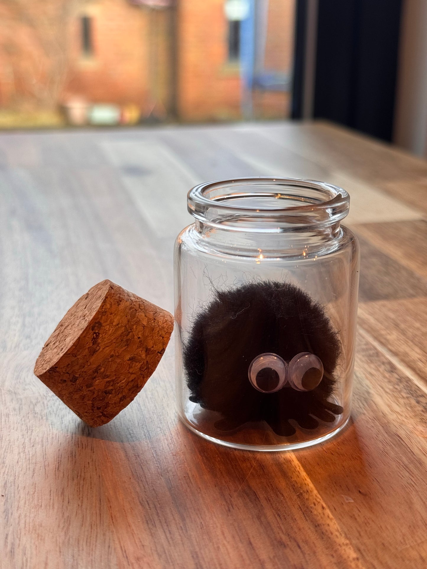 Bug in a jar