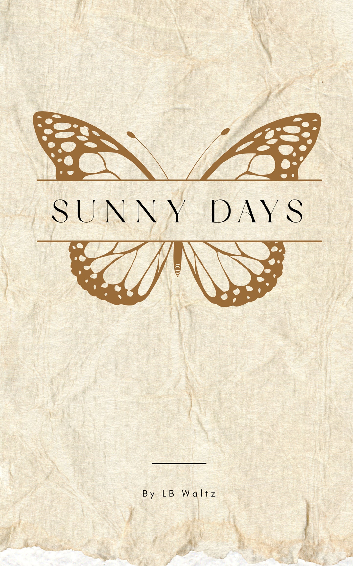 Sunny Days by L.B Waltz (eBook)