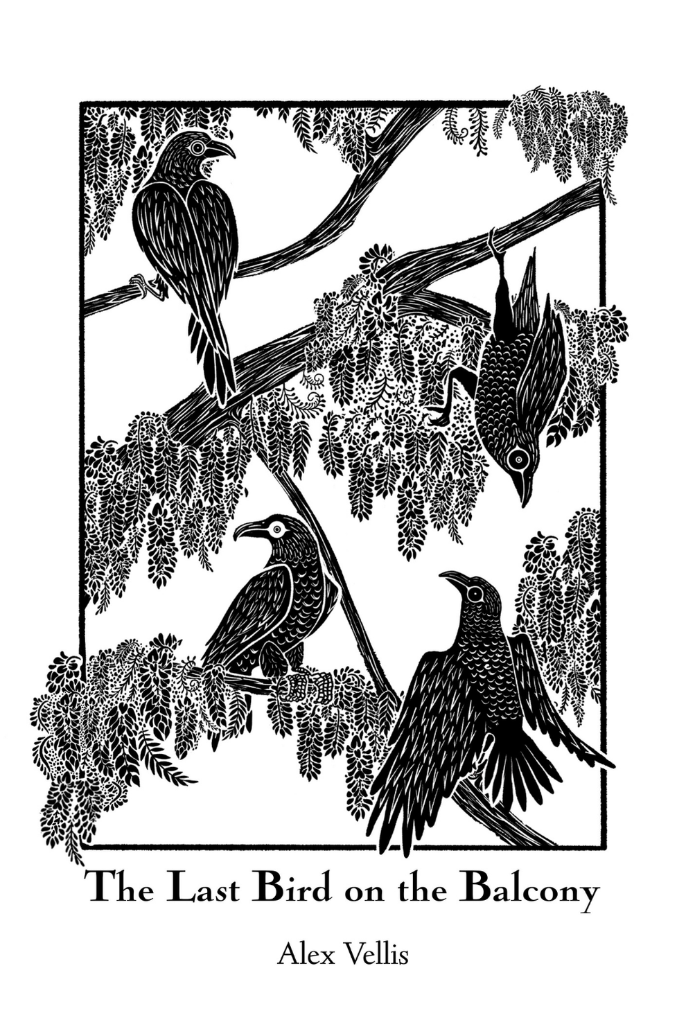 Our Books: The Last Bird on the Balcony by Alex Vellis book cover