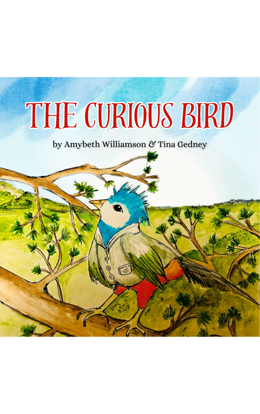The Curious Bird by Amybeth Williamson
