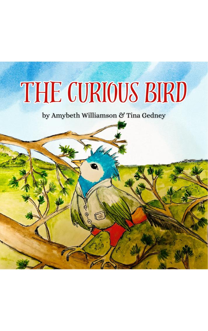 The Curious Bird by Amybeth Williamson